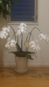 20150727_193338.jpg