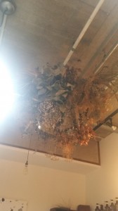 20150728_205328.jpg