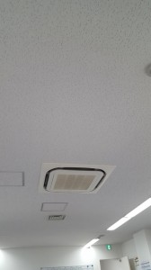 20150824_195554.jpg