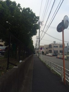 image1_10.JPG