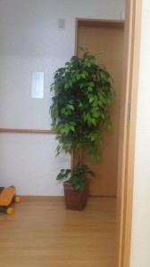 20151106_125630.jpg