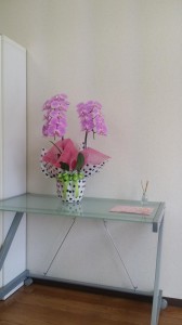 20151111_131155.jpg