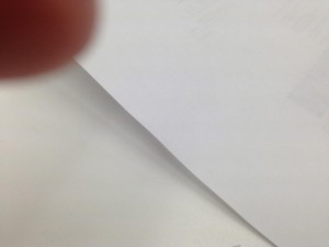 IMG_2591.jpg