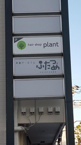 20151203_154748.jpg