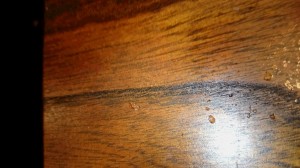 DSC_0121_3.JPG