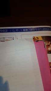 DSC_0133 DSC_0133.JPG