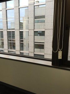 IMG_4468.jpg