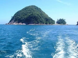 image1_14.JPG