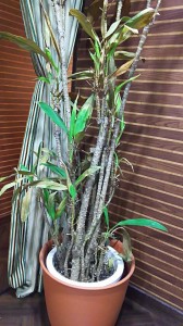 Image1457527084455.jpg
