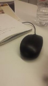160510_1750~010001.jpg