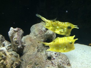 IMG_1461.jpg