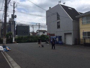 IMG_4891_2.JPG