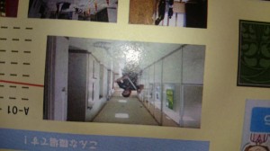 DSC_8225 DSC_8225.JPG