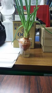 Image1465264795381.jpg