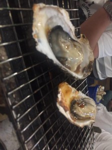 image1_4.JPG
