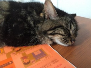 IMG_0336.JPG