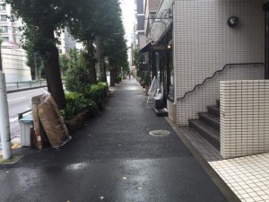 IMG_5420_2.JPG