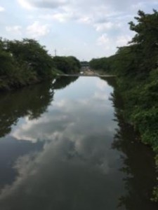 image1_5.JPG