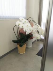 Image1477544438162.jpg