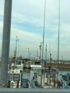 image1_9.JPG
