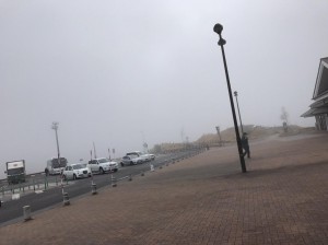 image1.JPG