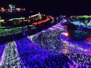 image1.JPG