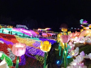 image1_2.JPG