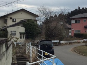 IMG_1008_2.JPG