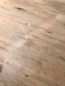 IMG_2016.JPG