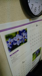 DSC_0110.JPG