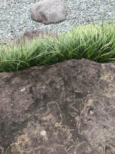 image1_13.JPG
