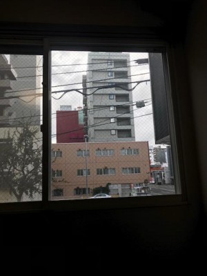 IMG_4809.jpg
