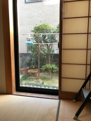 image2.jpeg
