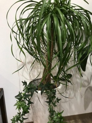 image1_11.jpeg