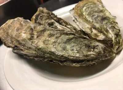 image1_14.jpeg