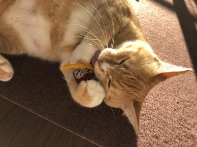 image1_6.jpeg