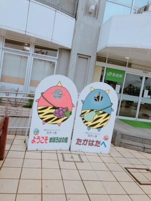 image1_7.jpeg