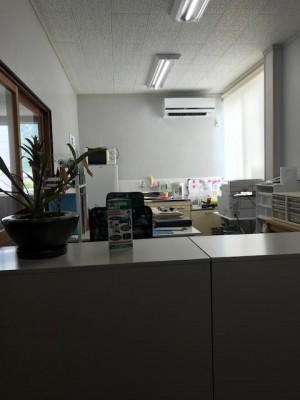 image1_5.jpeg