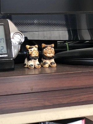 image1_5.jpeg