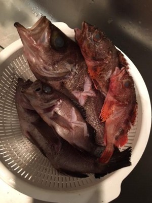 image1_2.jpeg
