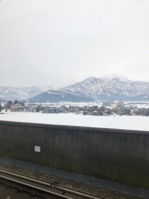 IMG_4790.JPG