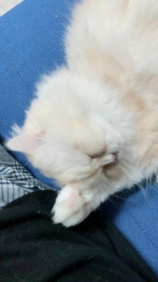 image1_23.jpeg