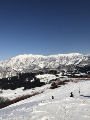 IMG_0871 IMG_0871.jpeg