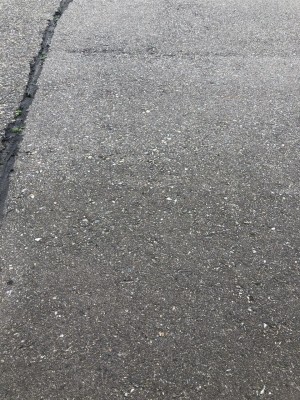 IMG_1040 IMG_1040.jpg
