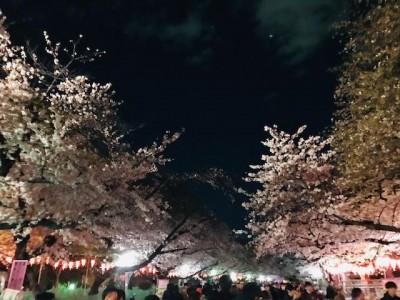 IMG_7460 IMG_7460.jpg