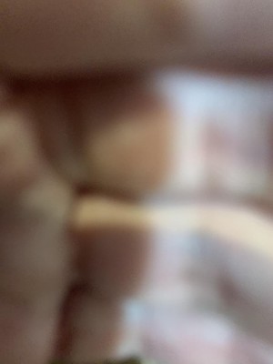 IMG_8730.jpg