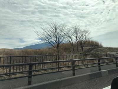 image2.jpeg