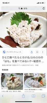 IMG_4588.jpeg