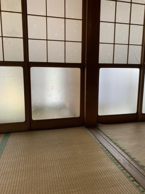 image_6546160_2.JPG