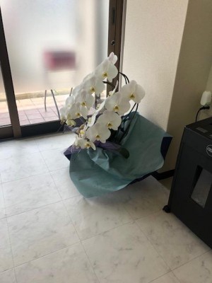 image1_2.jpeg